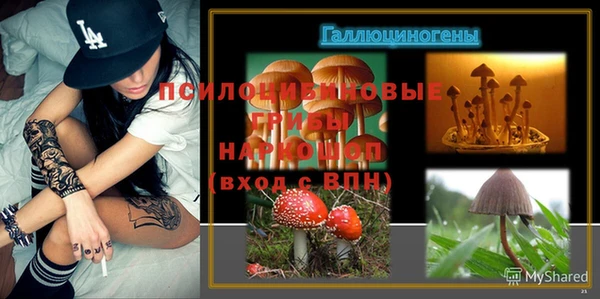 2c-b Лабытнанги