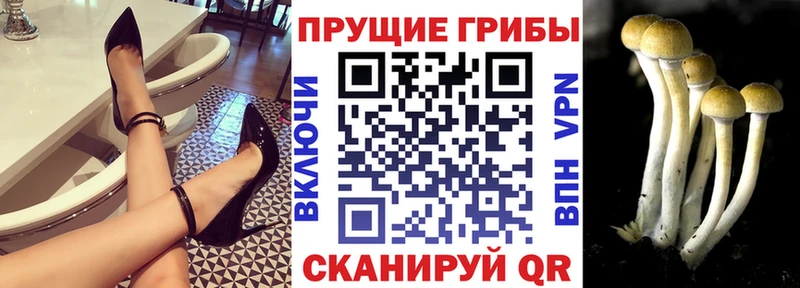 Псилоцибиновые грибы MAGIC MUSHROOMS  купить наркотик  Сухиничи 